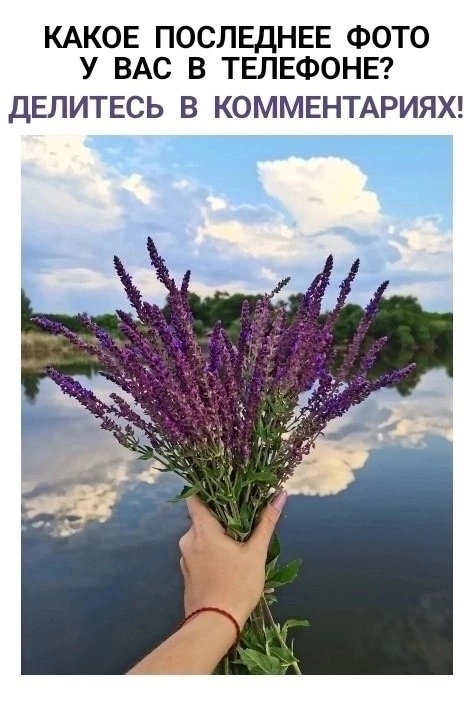 Устроим интерактив? ?