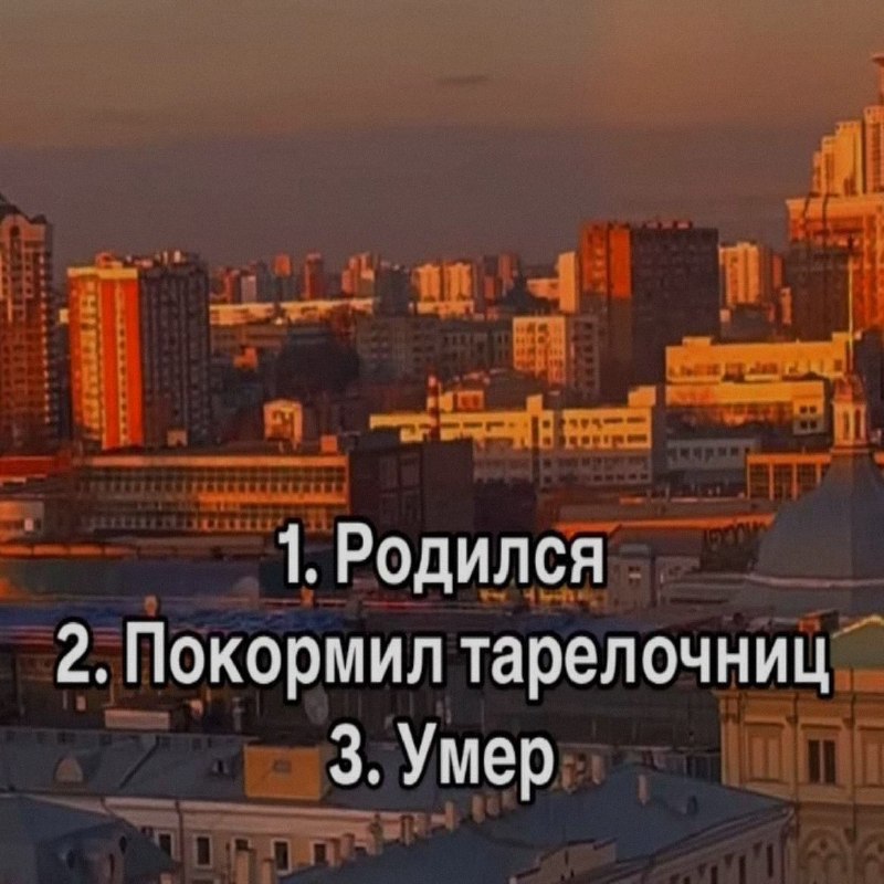 Ночная подборочка
Спать, режим