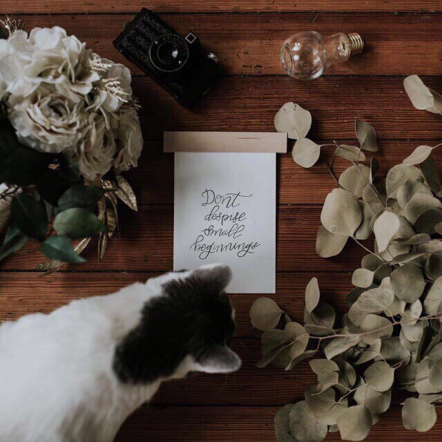 Чудеса не обязательно грандиозны, чудо может случитьс?...