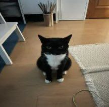 Всё совершенно ясно.