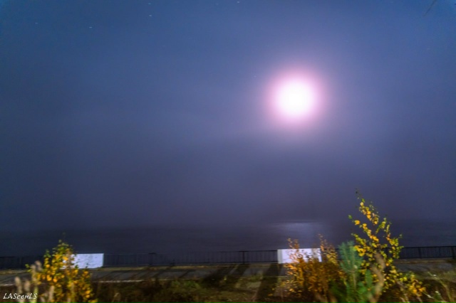 Туманная ночь.
Фото: Юрий Жарков