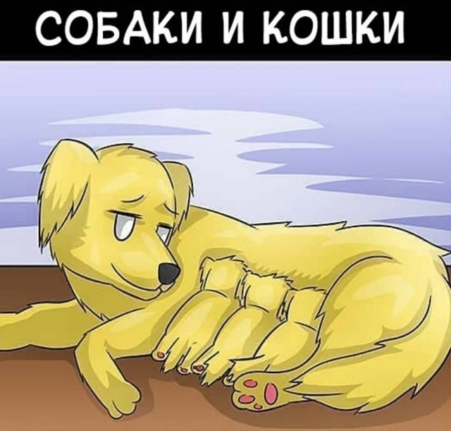 Жираф доставил