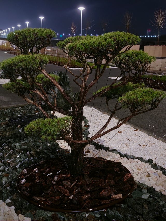 Набережная Перми с ландшафтом в японском стиле.