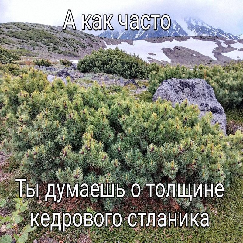 Утренняя подборочка