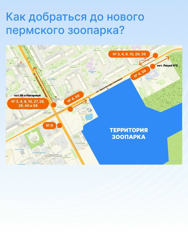 В Перми наконец-то открылся новый зоопарк!
Президент Р...