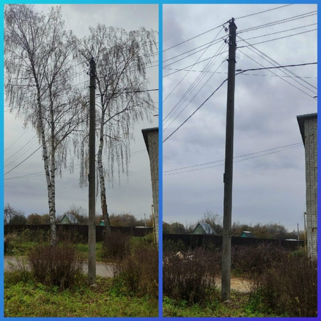 СПИЛИМ ЛЮБОЕ ДЕРЕВО (рядом с домами, проволами, заборам...