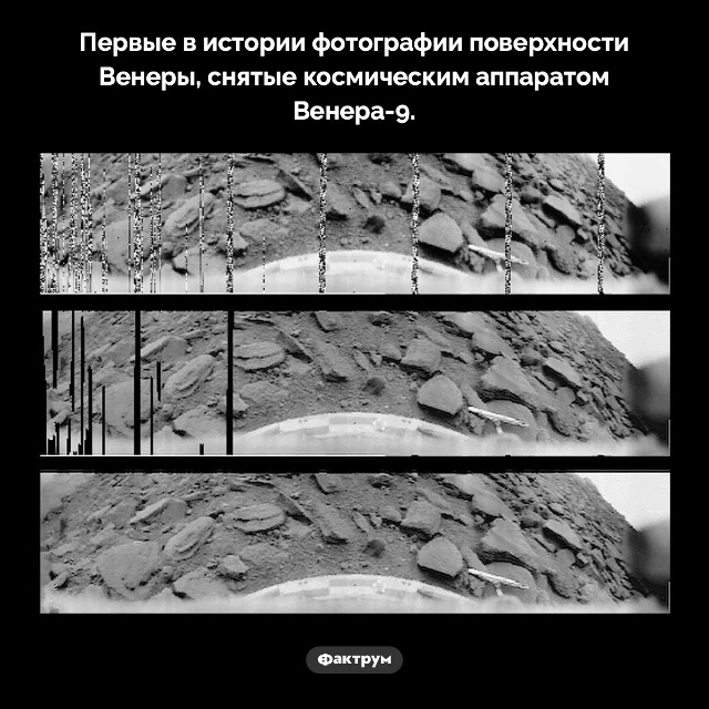 Подборка интересных фактов.