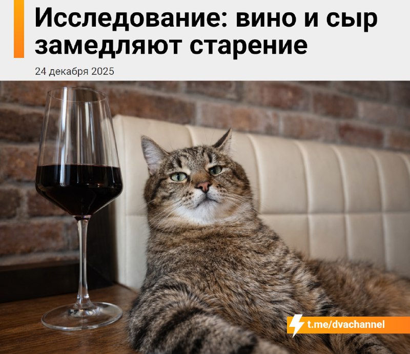 Учёные выяснили, что вино и сыр замедляют старение
Новое исследование показало: у тех, кто часто пь