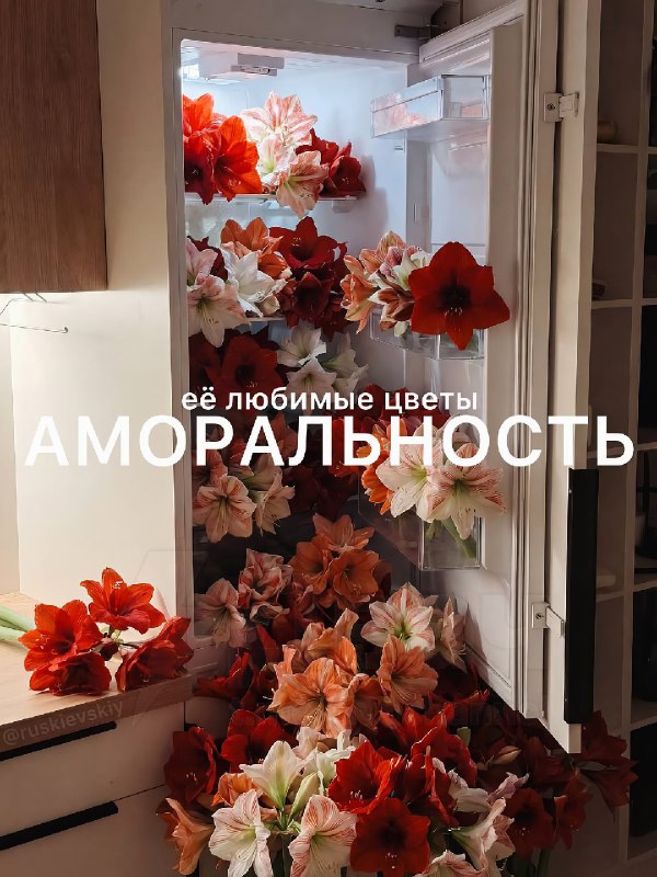 В интернете показали цветы, которые точно понравятся твоей тянке
Отправь ей, чтобы порадовать её