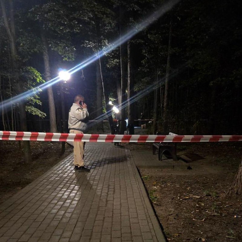 Два трупа за ночь в московских парках.
В Филёвском нашли мужчину с ножевым ранением в шею — он уме