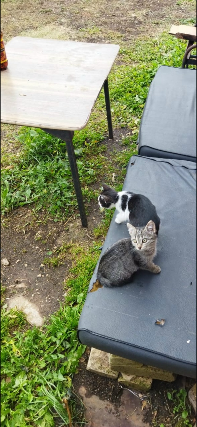 Мы сейчас живем с вами в какое то особое время,время ки?...