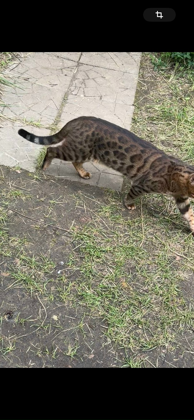 Беляная гора и ближайшие! До сих пор продолжаем поиски ...