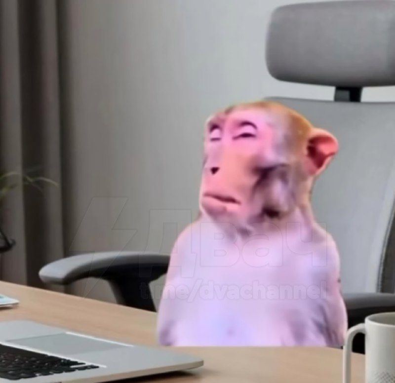 Я: не могу уснуть дома в удобной кровати
Также я на рабочем старом разваленном стуле: