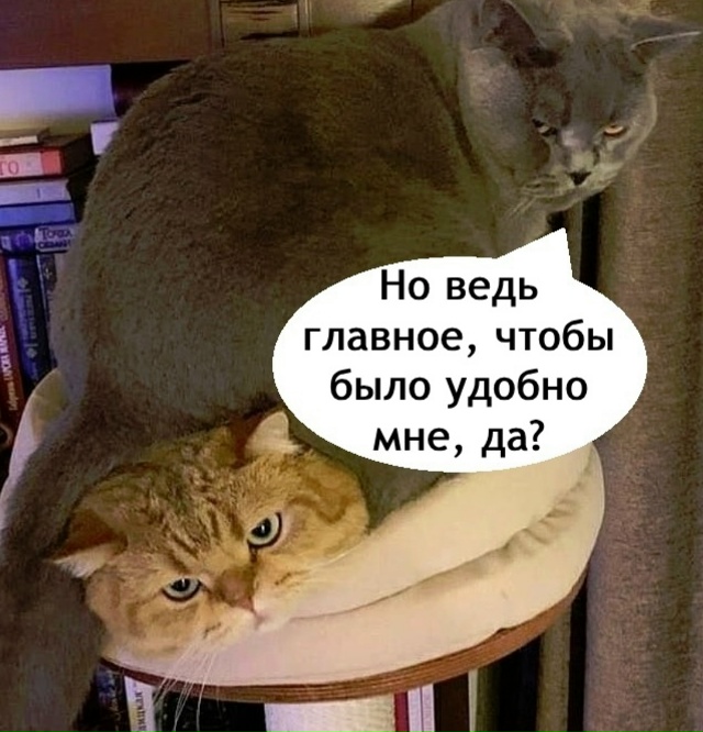 Вот так и живем