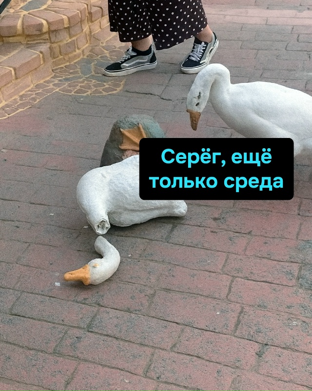 Серёга решил просто лечь и подождать, пока пройдёт нед?...