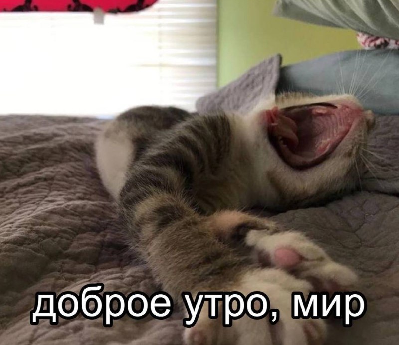 никто:
я всю неделю в 2 часа дня: