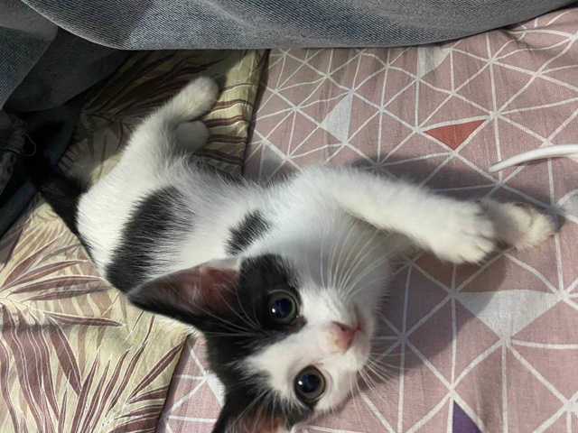 Ну что , поехали !?
Опять или снова , это уже решать вам ,...