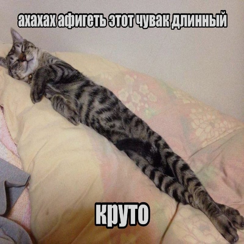 Ночная подборочка
Спать, режим