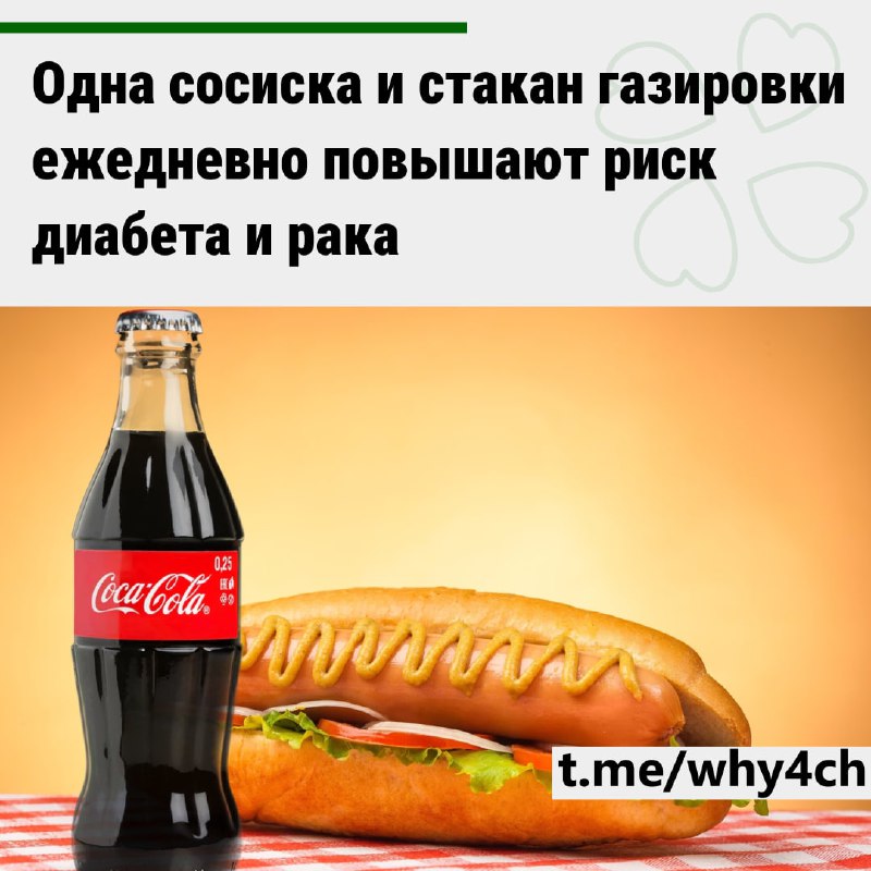Сосиски и газировка могут привести к диабету, колоректальному раку и ишемической болезни сердца
Учё