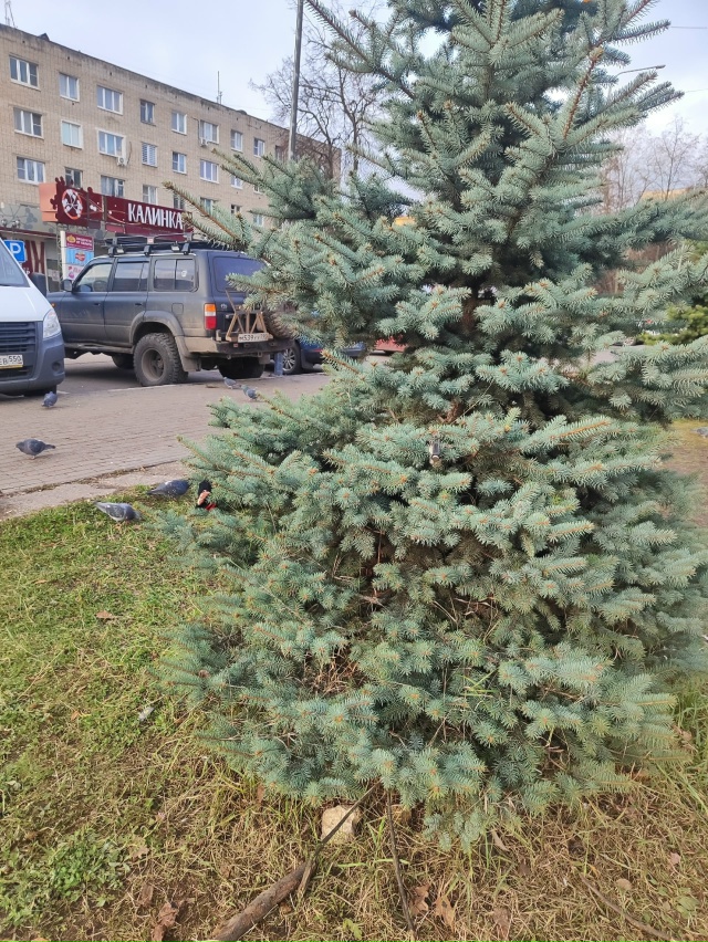Найдены ключи между ост. Почта и ТЦ Калинка. Повесили н?...