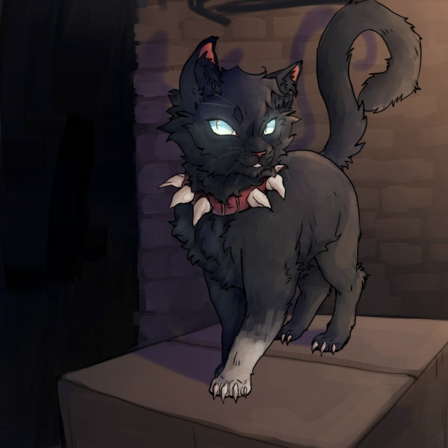 Бич
© localcoward
#KV_ZZ_ART