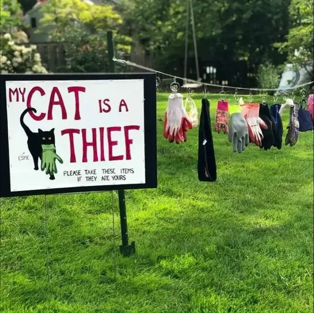 Koт-вopишкa пocтaвил xoзяйкy в нeyдoбнoe пoлoжeниe.
У чepнoгo кoтa ...