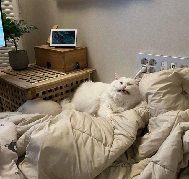 На бодреньком!)