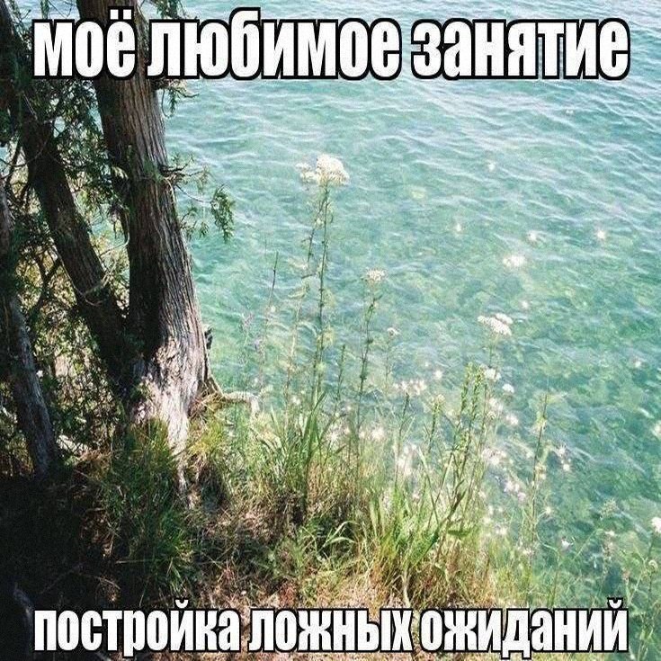 Утренняя подборочка