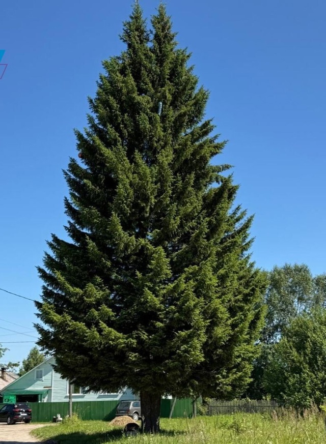 ✅ Инициативные жители планируют создать функциональн...