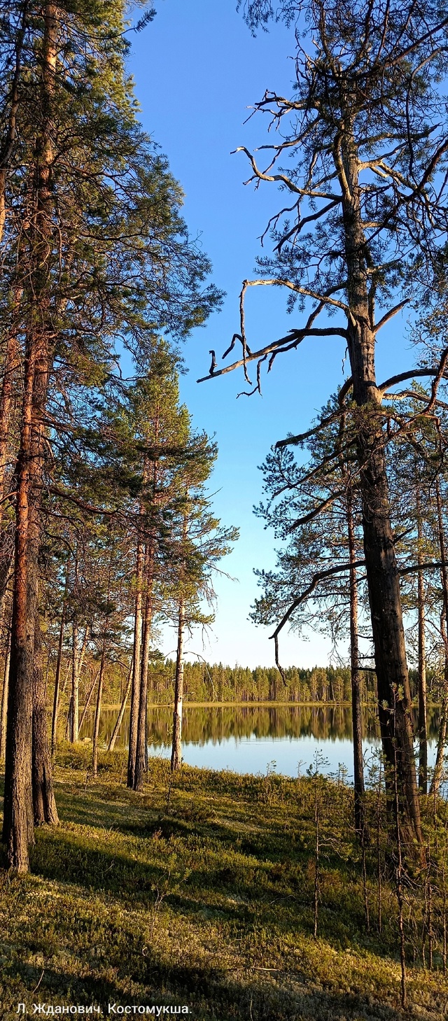 Доброго утра, Никольск❤