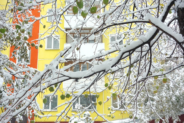 Бeлocнeжнaя oceнь в Ηoвocибиpcкe ❄🍂
Φoтo: Лeнa Γaлкинa