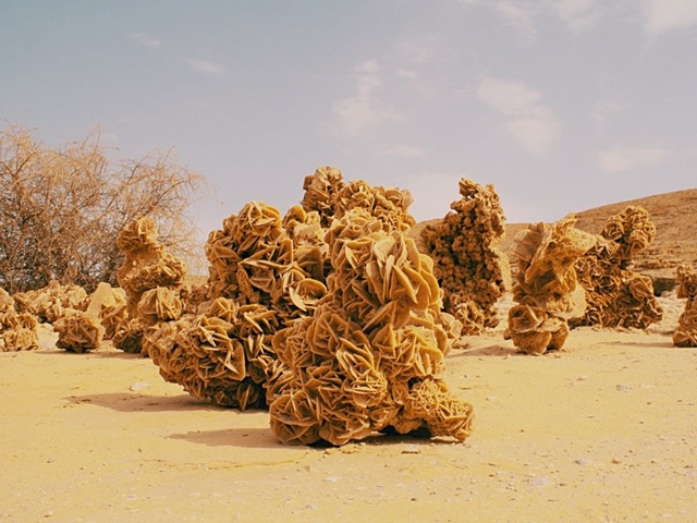 Настоящее чудо природы - камень/минерал «Роза пустыни»...