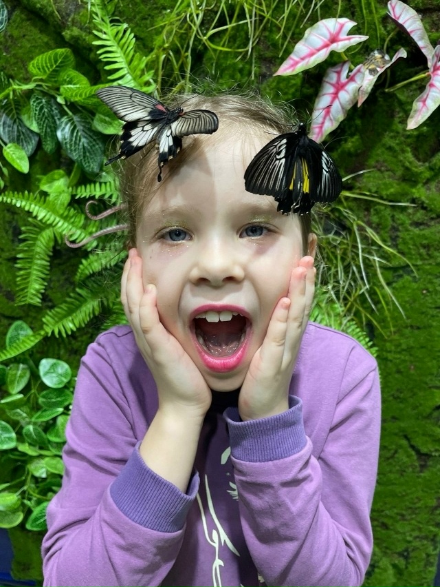 🦋 ЗАВТРА ОТКРЫТИЕ выставки «Чудеса Тропиков и Живые Б...