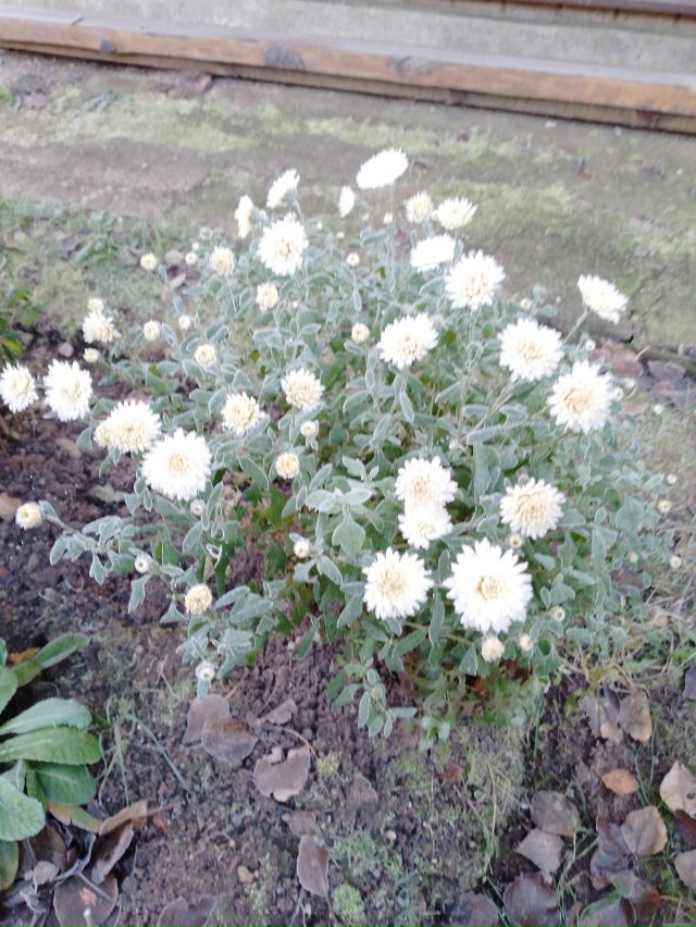 Нас утро встречает прохладой