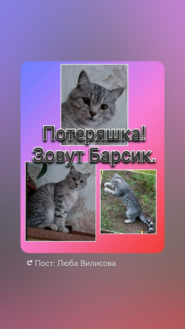 Ежедневно в 21 час по местному времени Ваши вопросы.
1⃣ ...