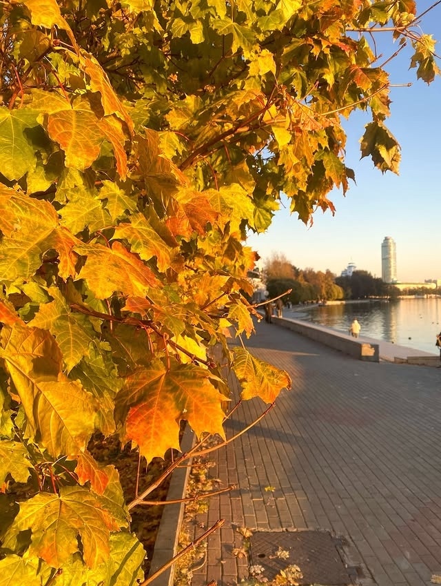 Осенние пейзажи 🍁