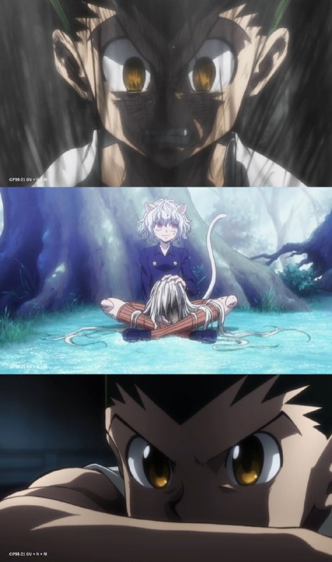 🐜13 лет назад в этот день в аниме «Хантер х Хантер» началась арка Муравьи-химеры!