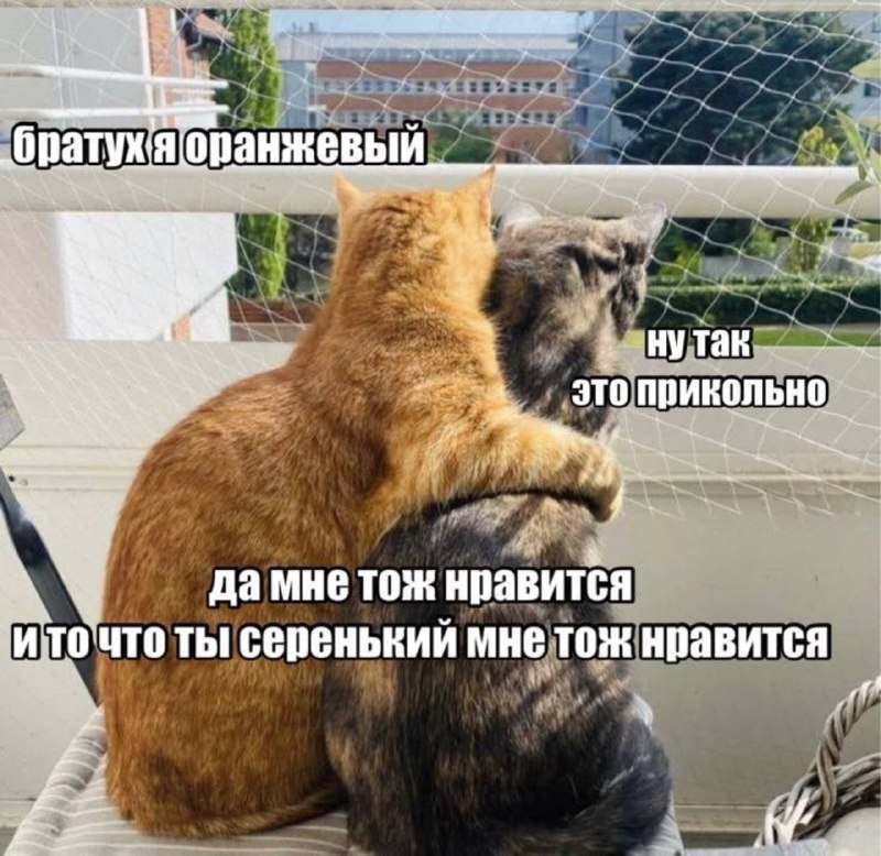 мы с подругой после того, как консультантка в магазине косметики подобрала нам тональники под цвет к