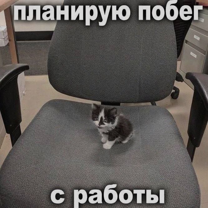 Ночная подборочка
Выходные, не спим