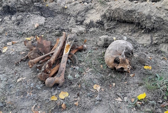 📍 В Вольском районе пастух в поле обнаружил скелет че?...
