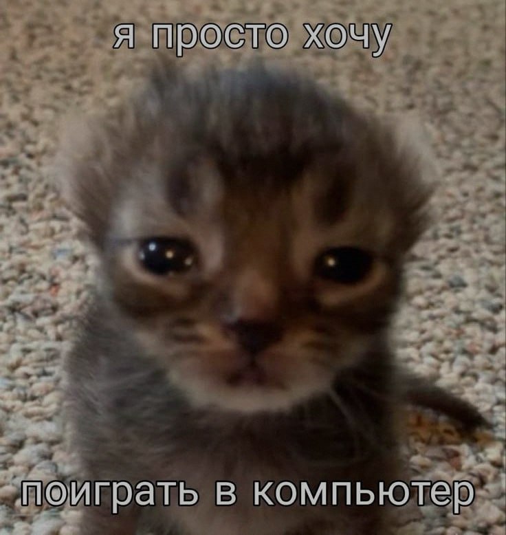 Ночная подборочка
Спать, режим
