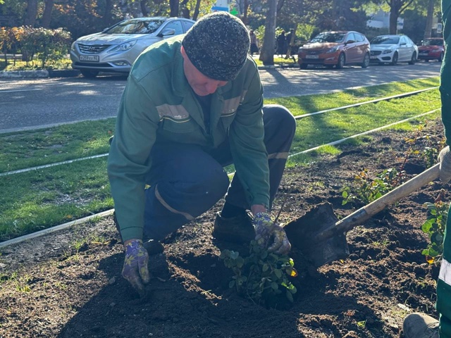 🌹Улица Фрунзе продолжает преображаться.
Озеленители...