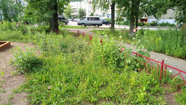 К кому обращаться если не косят траву на детской площа?...