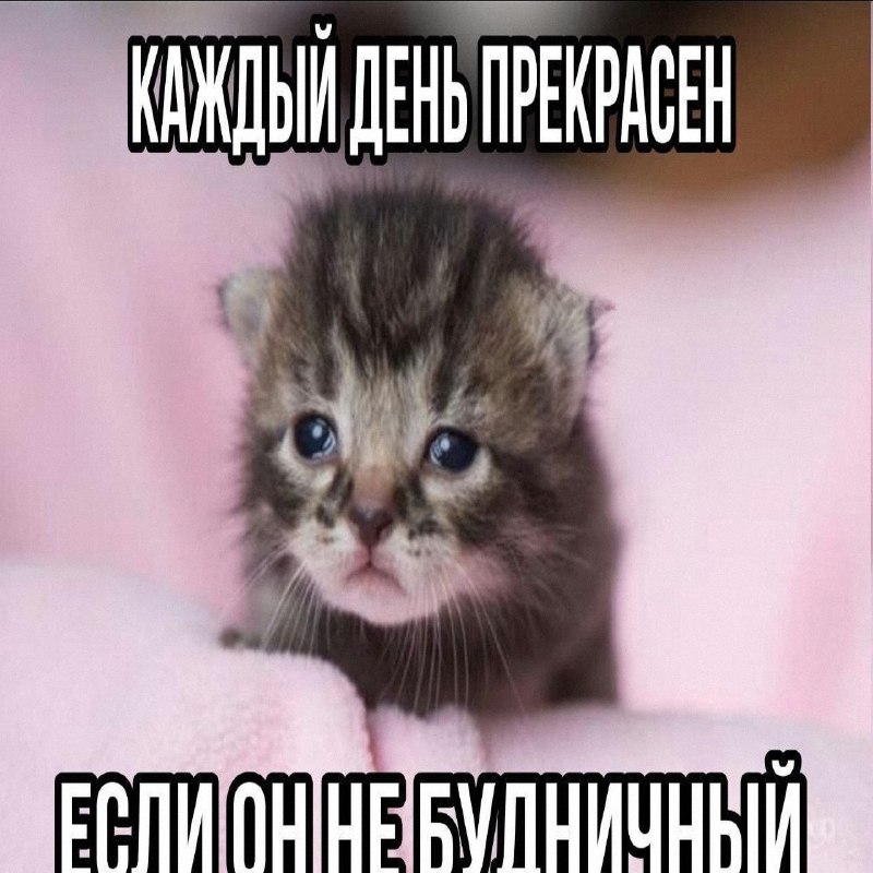 Утренняя подборочка