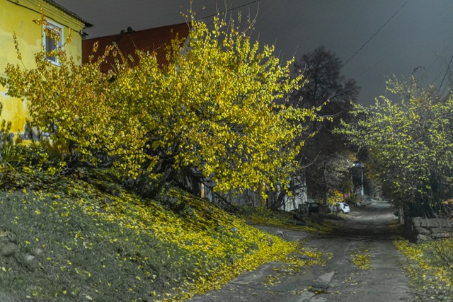 Вечерний Воронеж прямо сейчас