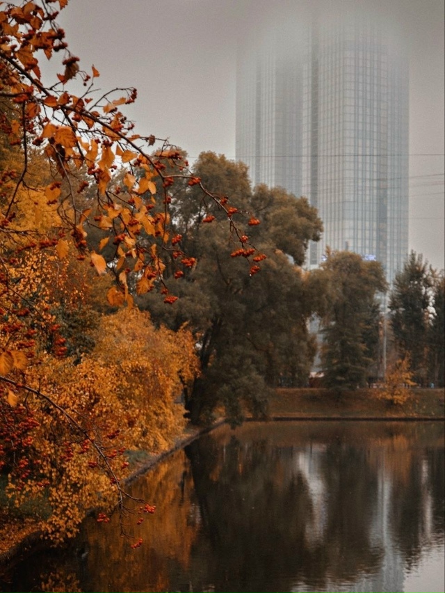 Красногвардейские пруды
Три пруда и небольшой парк-с...