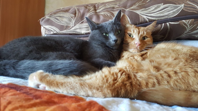 Дедушка и внучка😏😇😁☺😎
Какого цвета ДЕДУШКА?