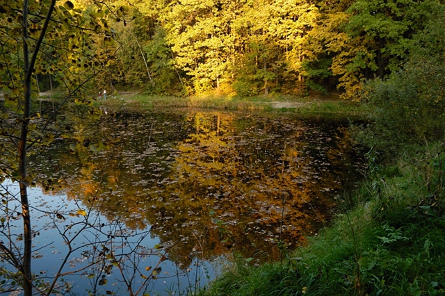 Суханово прекрасно всегда, но сейчас особенно!🍂