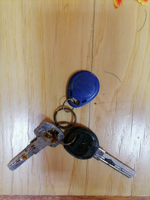 В парке Победы найдены ключи. Если кто узнал, то они нах...