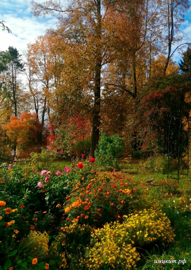 🍂Осень в Спиринском саду 🍂